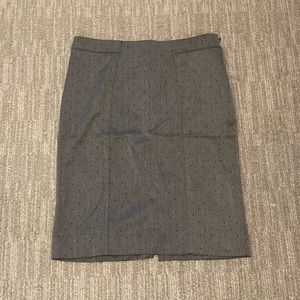 Express Pencil Skirt